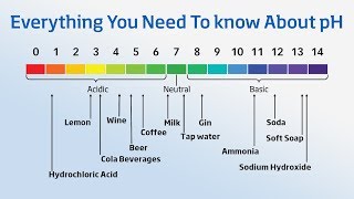 Using a pH Meter  Everything You Need to Know About pH [upl. by Berlauda]