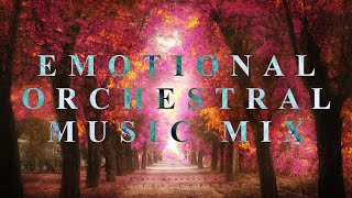 1 Hour Of The Most Beautiful Emotional Orchestral Music [upl. by Ruomyes238]