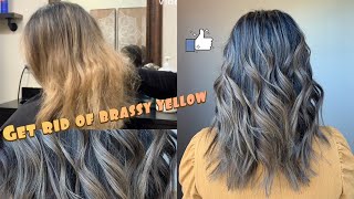 Toning Down Brassy Yellow Hair  Matrix Color sync [upl. by Brooks]