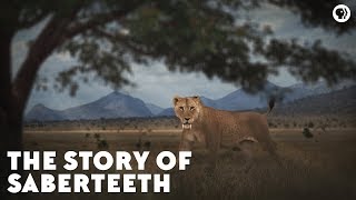 The Story of Saberteeth [upl. by Naeloj]