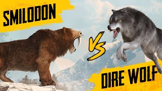 Sabertooth Tiger VS Dire Wolf  Size comparison [upl. by Ardeen]