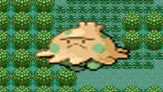 How to find Shroomish in Pokemon Emerald [upl. by Eirok832]