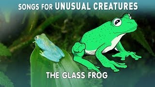 Glass Frog  Songs for Unusual Creatures  PBS Digital Studios [upl. by Akitan]