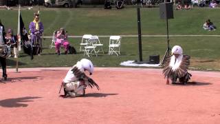 Tewa Eagle Dance [upl. by Einnahpets]