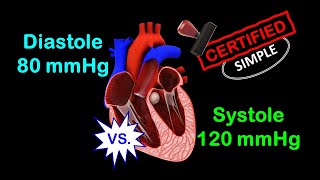 Introduction to the Cardiac System [upl. by Armyn]