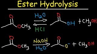 Ester Hydrolysis Reaction Mechanism  Acid Catalyzed amp Base Promoted Organic Chemistry [upl. by Douville143]