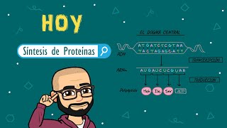 Síntesis de proteínas [upl. by Cruce]