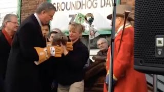 Groundhog Dropped By Mayor Later Dies [upl. by Eromle457]