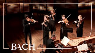 Bach  Orchestral Suite no 3 in D major BWV 1068  Mortensen  Netherlands Bach Society [upl. by Roberta]