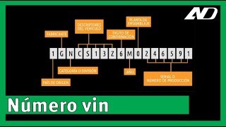 Número VIN lo dice todo de tu auto ¿Cómo leerlo Aprende Dinámico [upl. by Anitsuj]