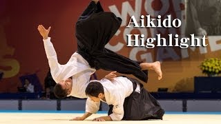 Aikido Highlight  Shirakawa Ryuji sensei [upl. by Llovera]