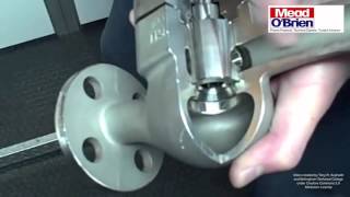 The Rotary Globe Control Valve [upl. by Akemor]