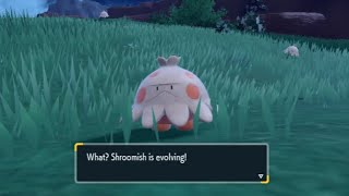 shroomish evolves into breloom🍄 [upl. by Arrimat11]