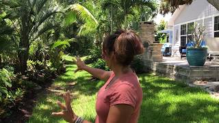 Backyard tour of Florida plants that last [upl. by Laura]