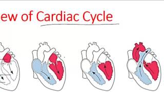 What is diastolic dysfunction [upl. by Euqinomahs]