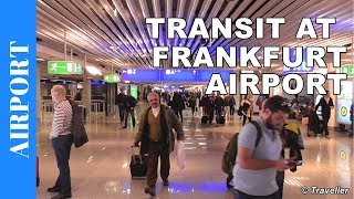 TRANSIT WALK AT FRANKFURT Airport FRA Terminal 1  Connection Flight Transfer Arriving amp Departing [upl. by Troc]