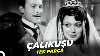 Çalıkuşu  Türkan Şoray Yeşilçam Filmi Tek Parça [upl. by Sielen]