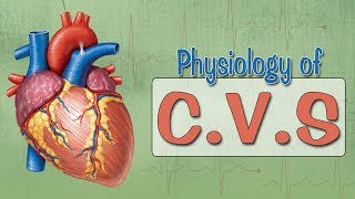 Easy Physiology  CVS  ECG 1Introduction amp ECG Leads [upl. by Sandro]