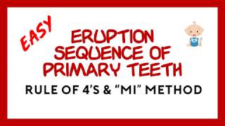 Tooth Eruption Sequence for Primary Teeth [upl. by Namie483]